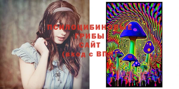 PSILOCYBIN Богородск