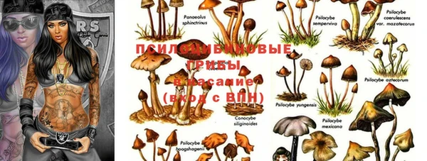 прущая мука Богородицк