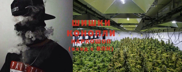 шишки Бородино
