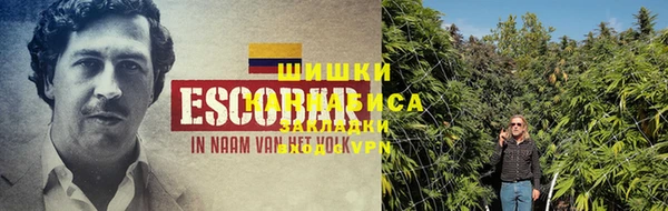 прущая мука Богданович