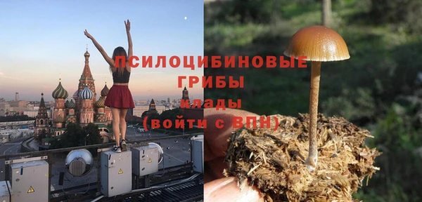 PSILOCYBIN Богородск