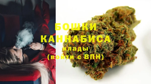 PSILOCYBIN Богородск