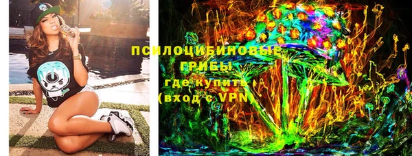 прущая мука Богородицк
