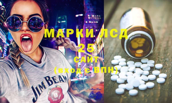 шишки Бородино