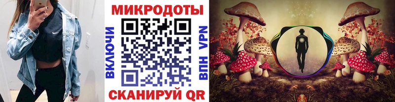 Псилоцибиновые грибы мухоморы  Купить закладки  Кировград 